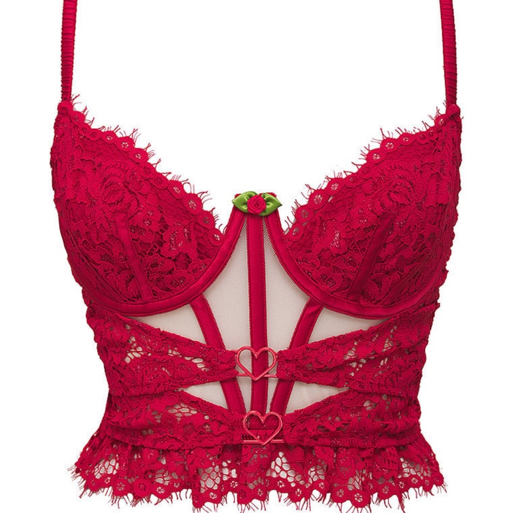 (L) FOR LOVE & LEMONS Rosa Lace Bustier